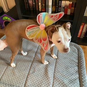 Meet your Posher, Christy